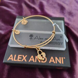 NWT Gold Alex & Ani heart bracelet‼️  797